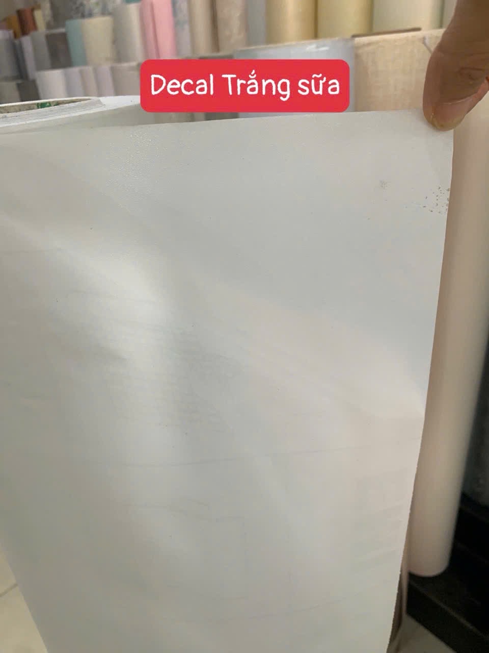 z8041447540782_7c69738174eaae4d0ddf1e74ee7a6b9d