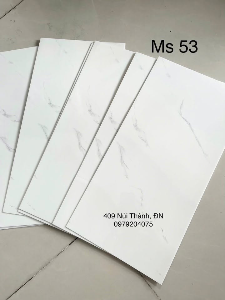 795189530_1705518731580975_8933196386478330140_n