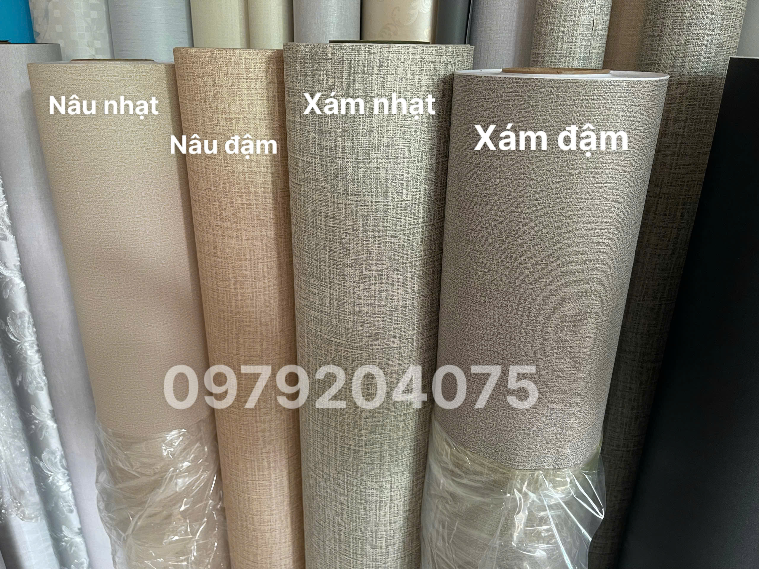 z8041782539418_03739ae2aae21ec3042872a02677b5d9