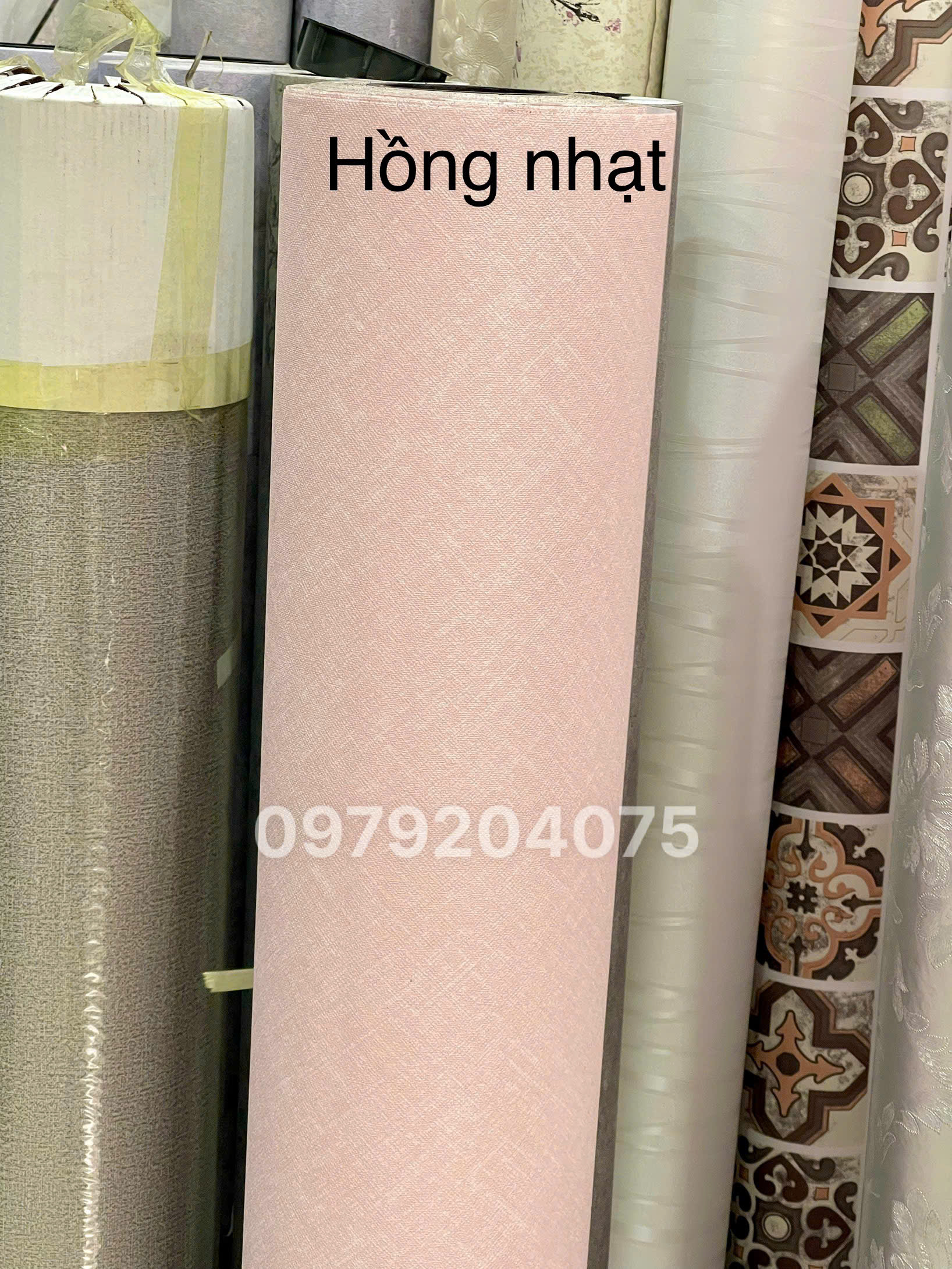 z8045366388843_7a534d8d3fc1a6458faab4935c0100df
